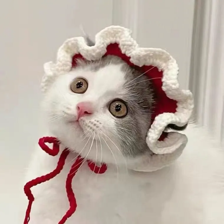Adjustable Knitted Cute Cat Hat