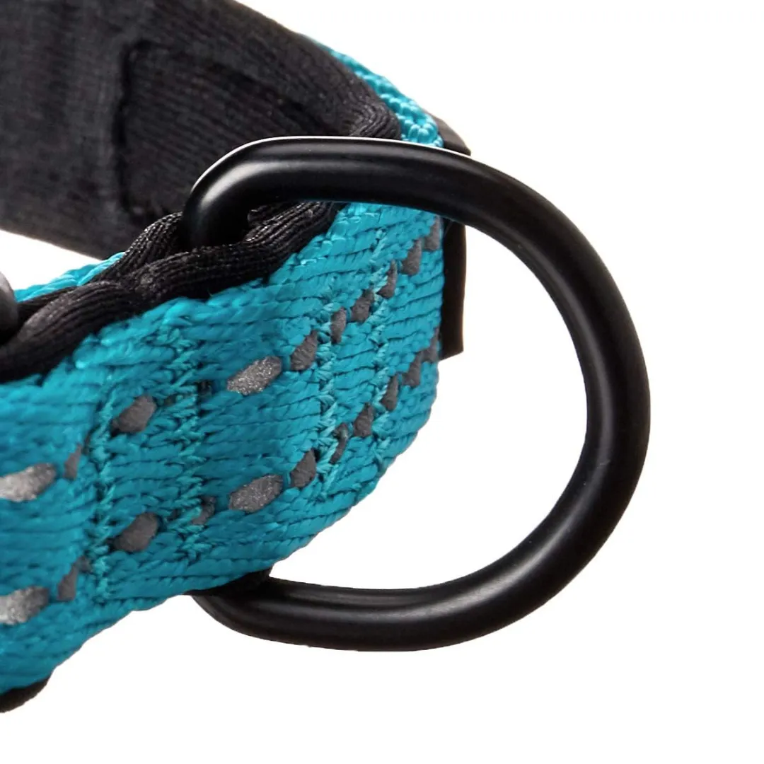 Alcott Adventure Blue Dog Collar
