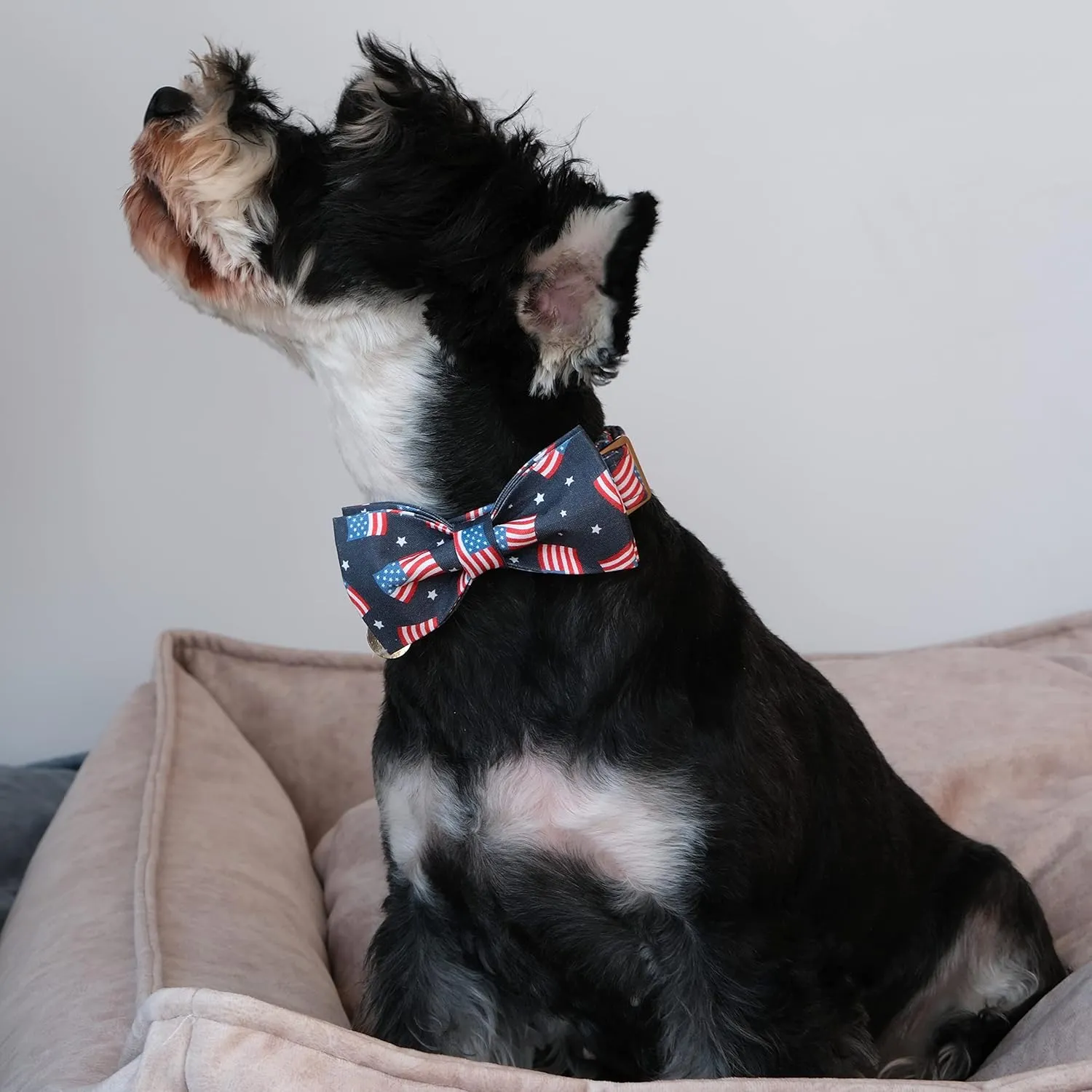American Flag Dog Collar with Bow Tie, 4th of July Comfortable Cotton Cute Dog Collar with Metal Buckle, Patriotic Bowtie Collar for Puppy Girl Boy Dog, L