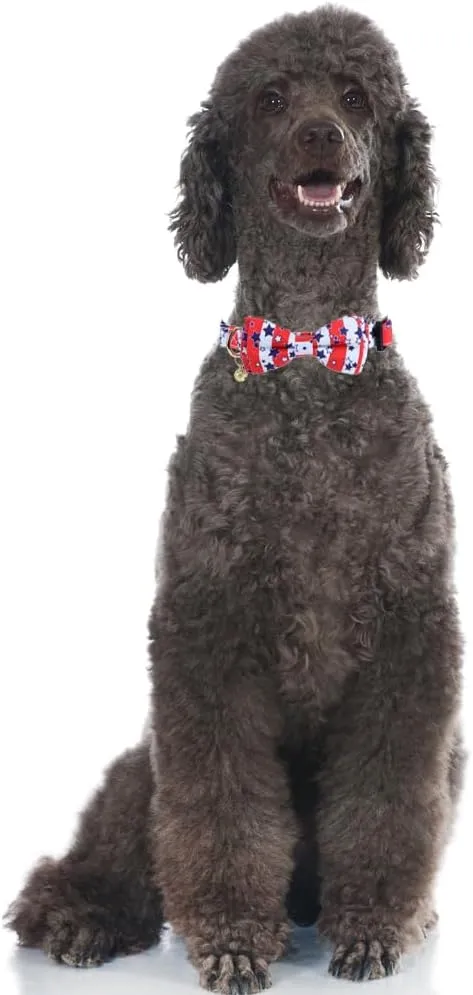 American Flag Dog Collar with Removable Cute Bow Tie Adjustable Patriotic 4th of July Pet Collars Independence Day Large