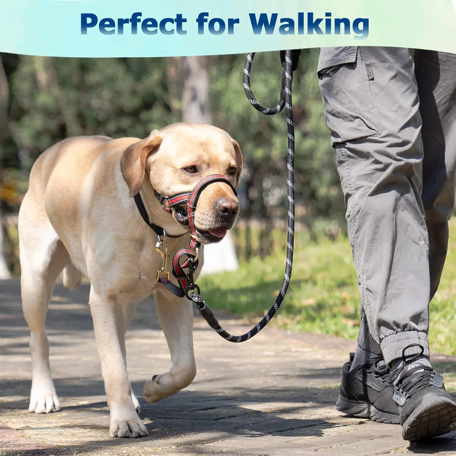 BARKLESS Muzzle Leash for Heavy Pullers, No Pull Stylish Head Halter for Large Aggressive Dogs, Gentle Dog Face Harness Stops Pet Pulling and Choking on Walks, Adjustable Head Collar