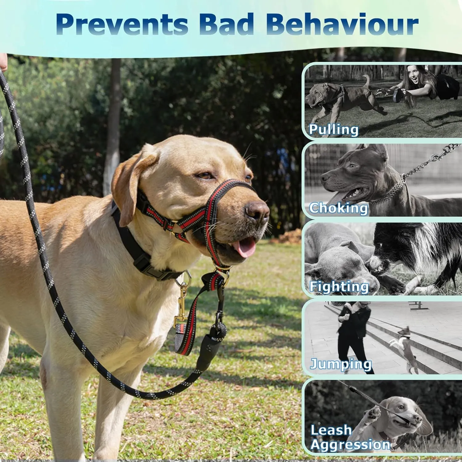 BARKLESS Muzzle Leash for Heavy Pullers, No Pull Stylish Head Halter for Large Aggressive Dogs, Gentle Dog Face Harness Stops Pet Pulling and Choking on Walks, Adjustable Head Collar