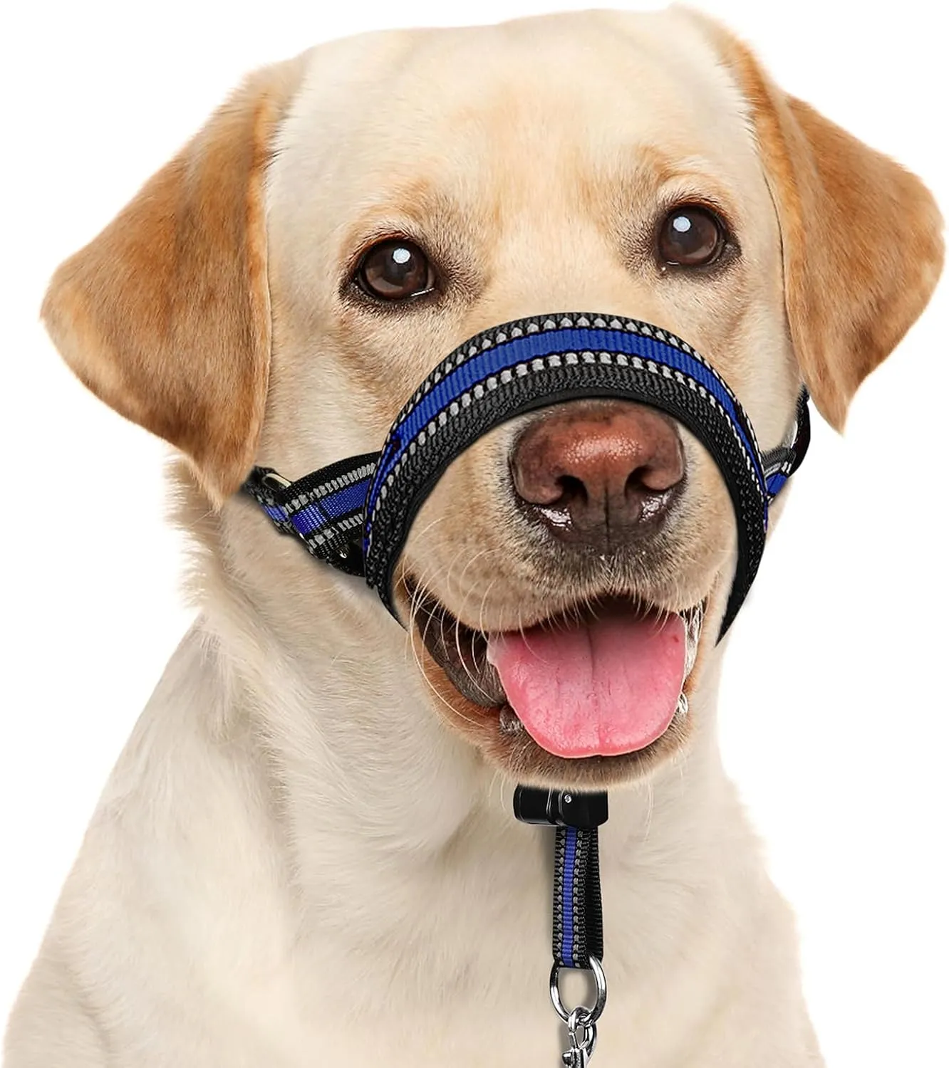 BARKLESS Soft Dog Head Collar, Patented Padded No Pull Head Halter, Training Nose Leash with Safety Link for Medium Large Dogs, Adjustable Muzzle Leash, Easy Control for Walking(Blue, XL)