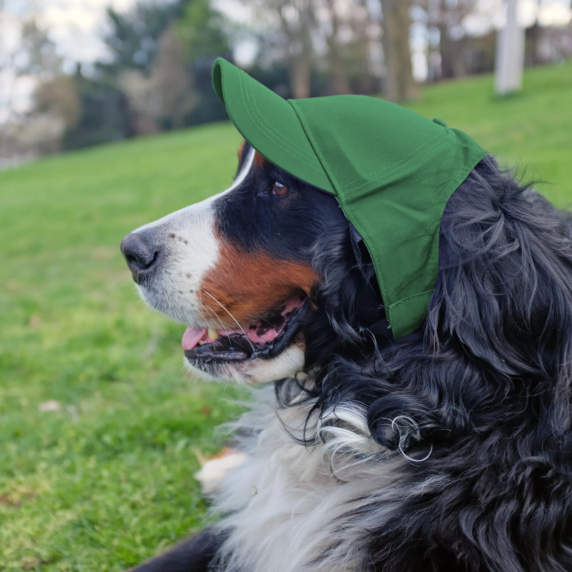 Baylor University Pet Baseball Hat