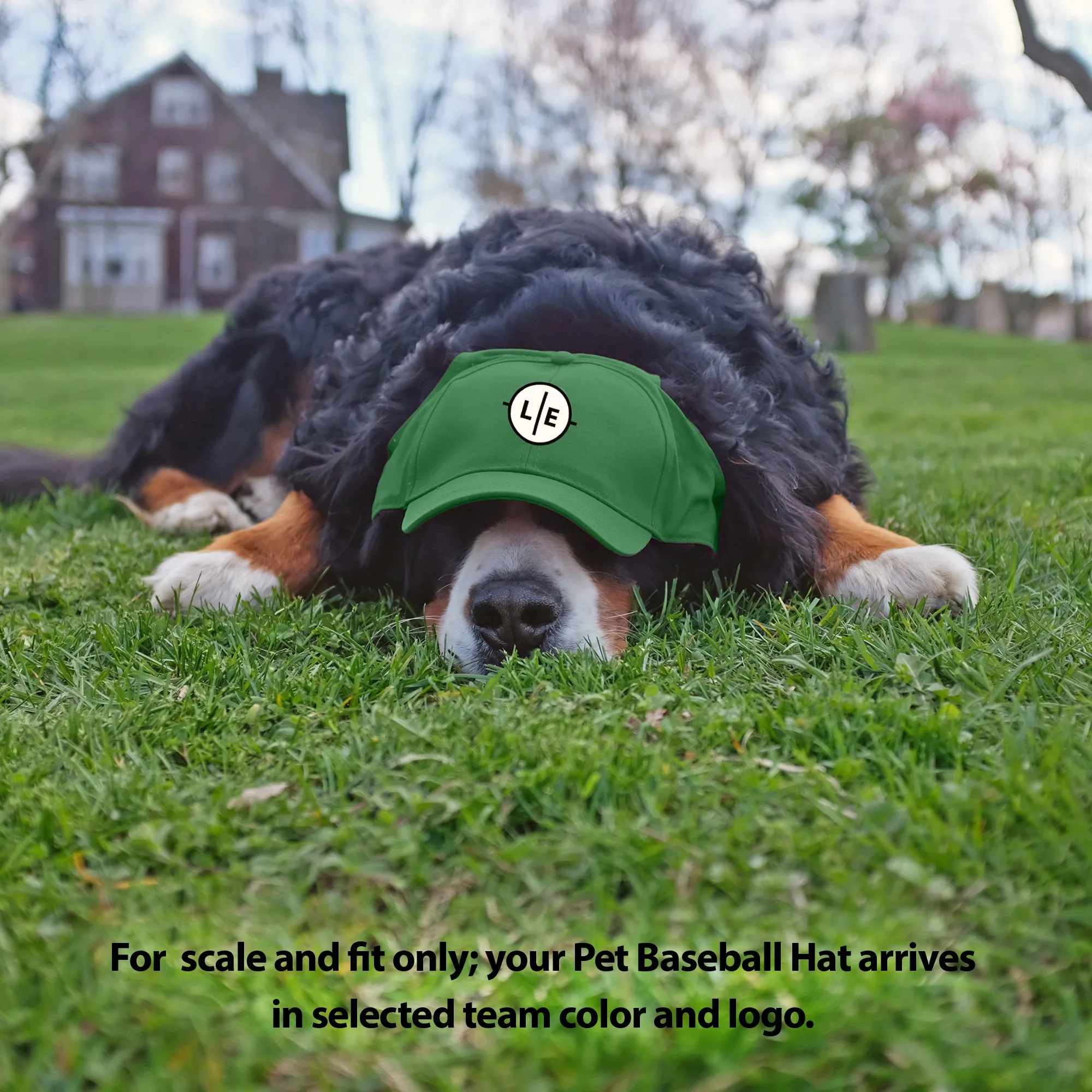 Baylor University Pet Baseball Hat
