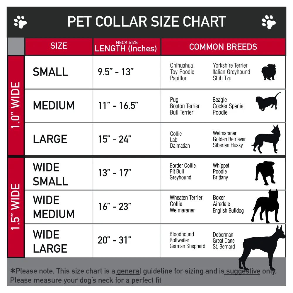 Beach Dawg Care Paw Logo Full Color Black Seatbelt Buckle Collar - BEACH DAWG CARE ALL DOGS ARE EQUAL Black/White