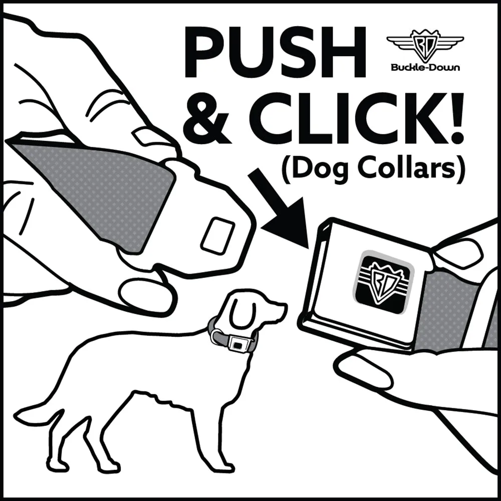 Beach Dawg Care Paw Logo Full Color Black Seatbelt Buckle Collar - BEACH DAWG CARE ALL DOGS ARE EQUAL Black/White