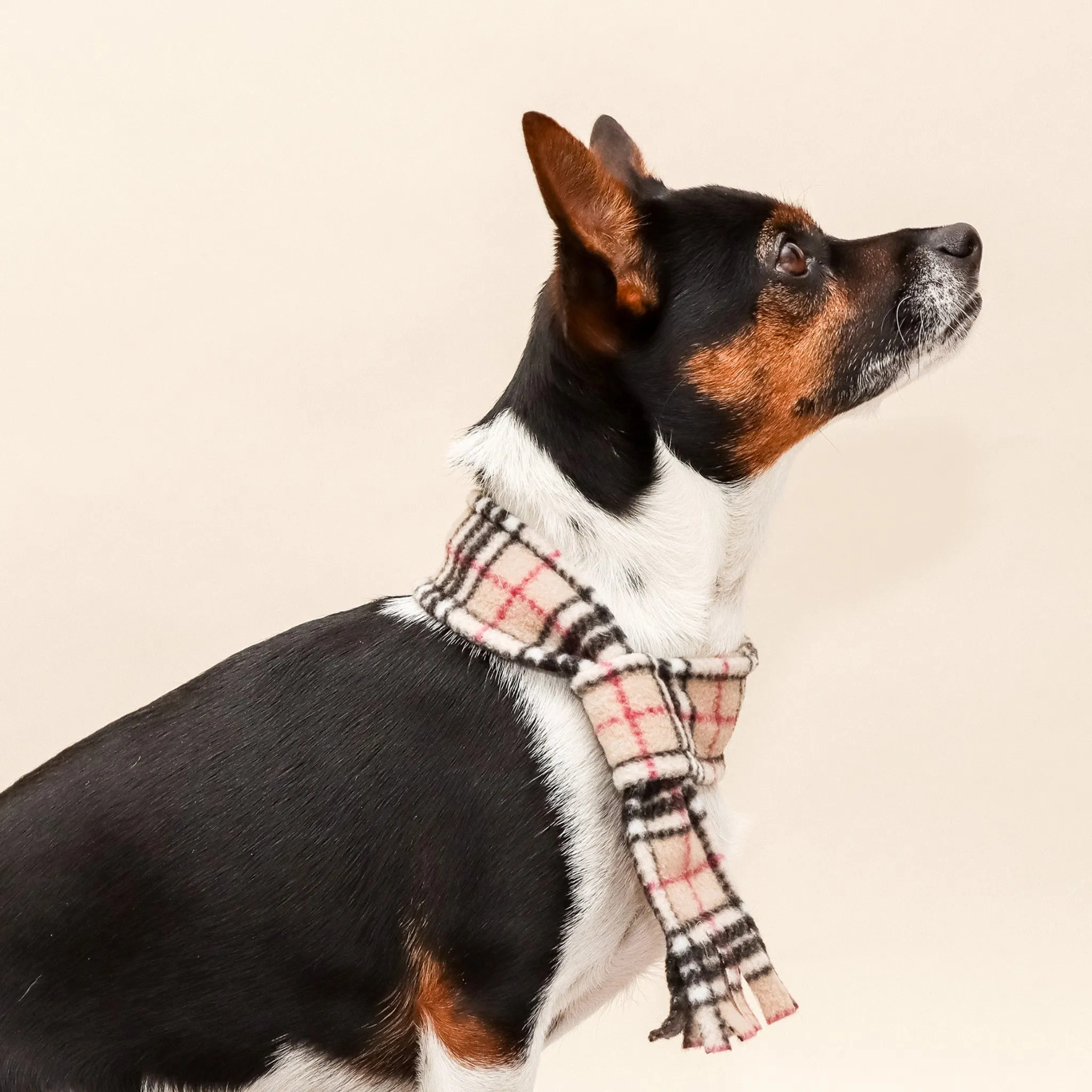Beige Highland Tartan Fleece Pet Scarf