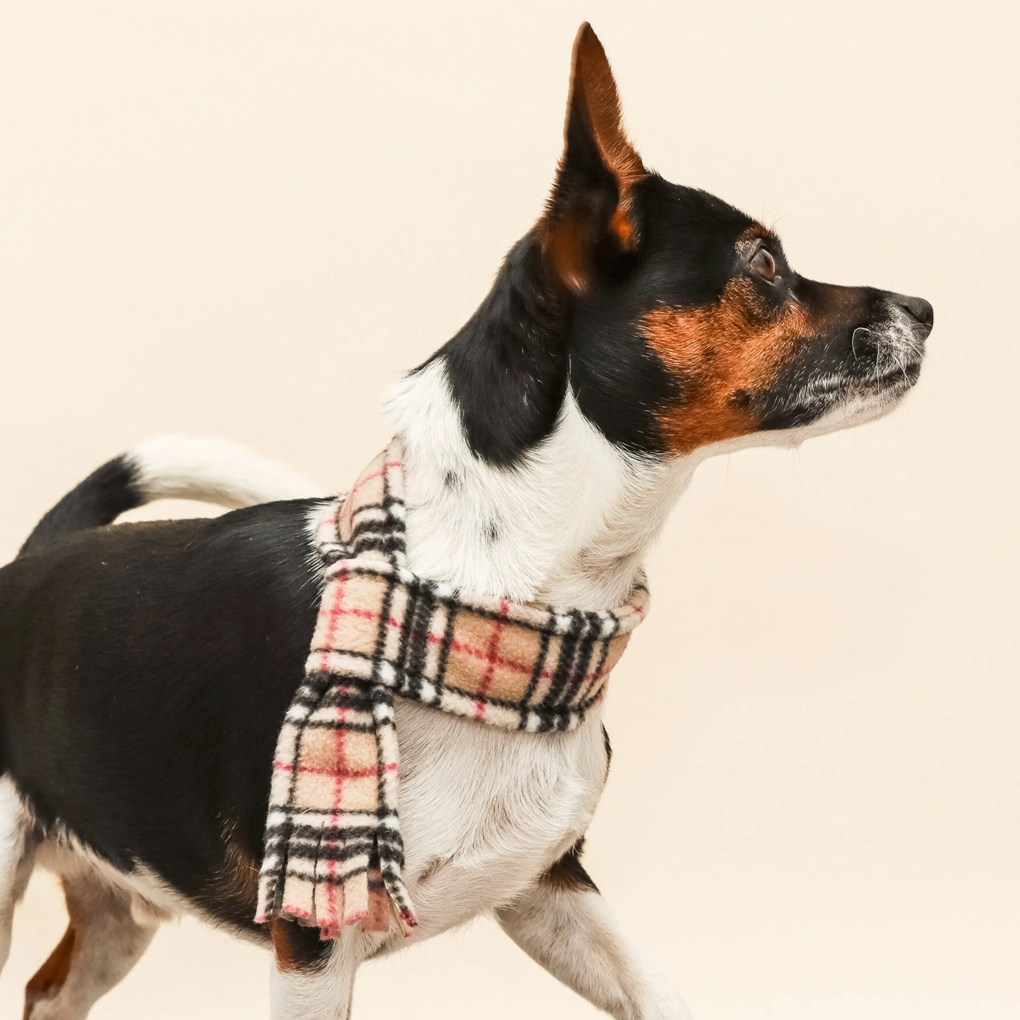 Beige Highland Tartan Fleece Pet Scarf