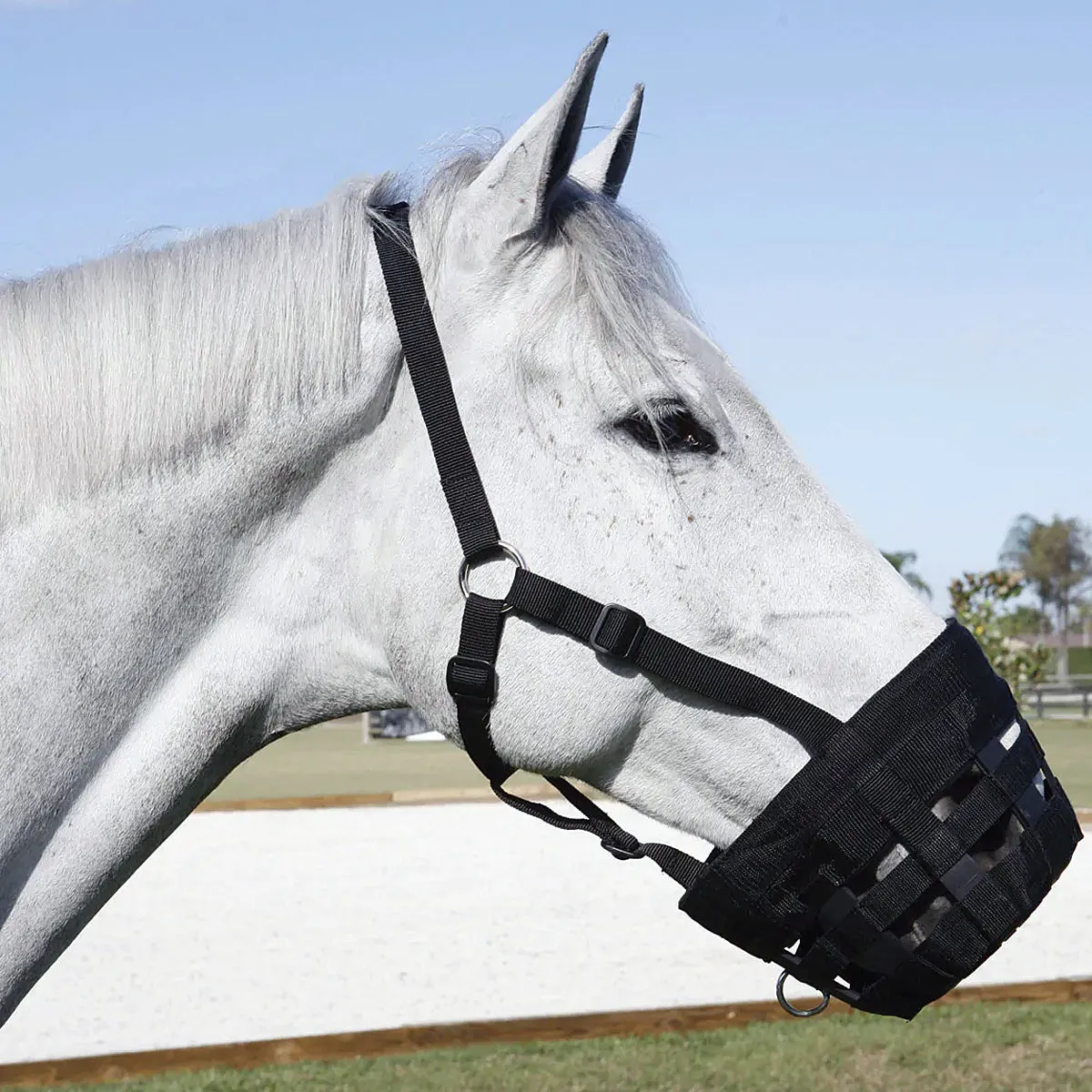 Best Friend Deluxe Grazing Muzzle