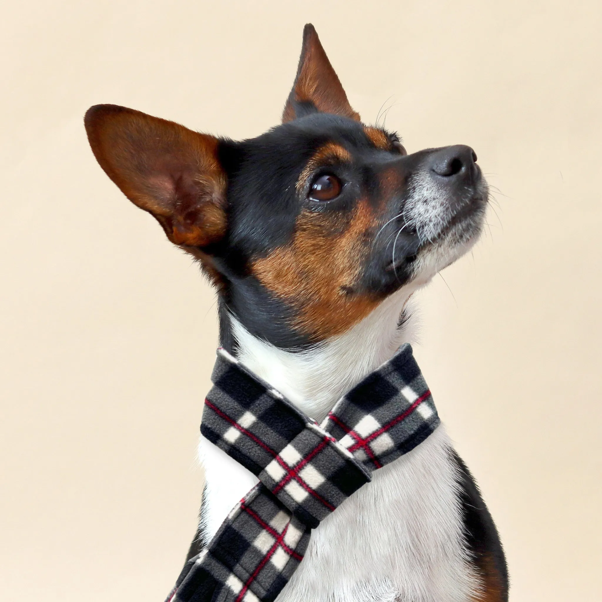 Black & White Highland Tartan Fleece Pet Scarf