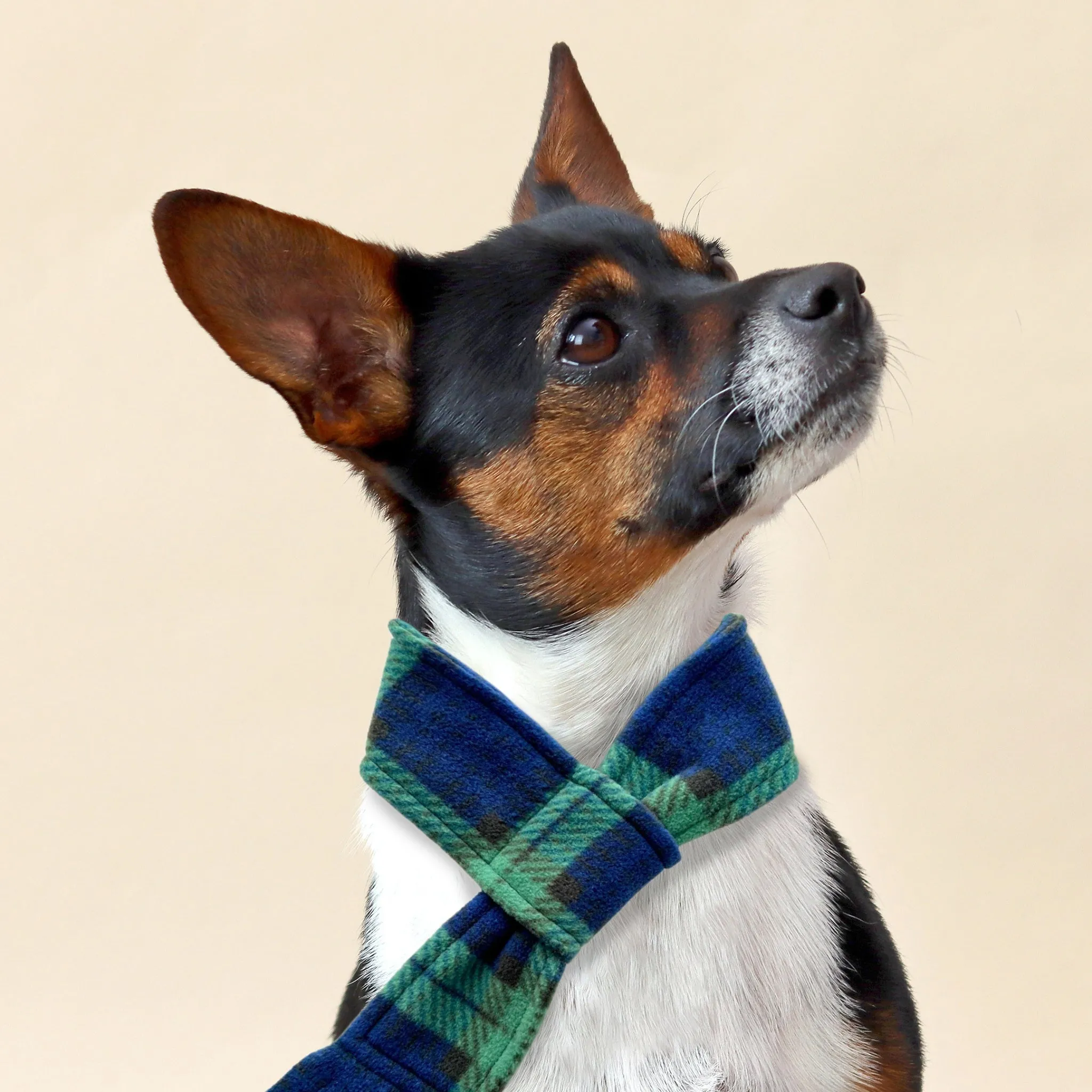 Blue & Green Clifton Highland Tartan Fleece Pet Scarf