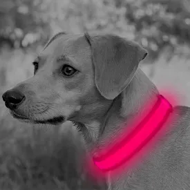 BSEEN USB Rechargeable Light Up Mesh LED Dog Collar