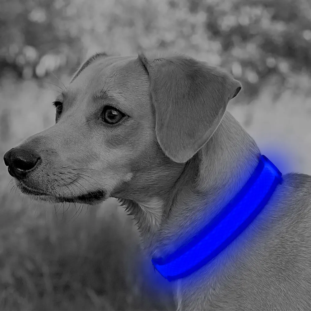 BSEEN USB Rechargeable Light Up Mesh LED Dog Collar