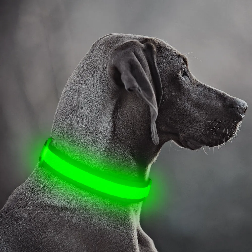 BSEEN USB Rechargeable Light Up Mesh LED Dog Collar
