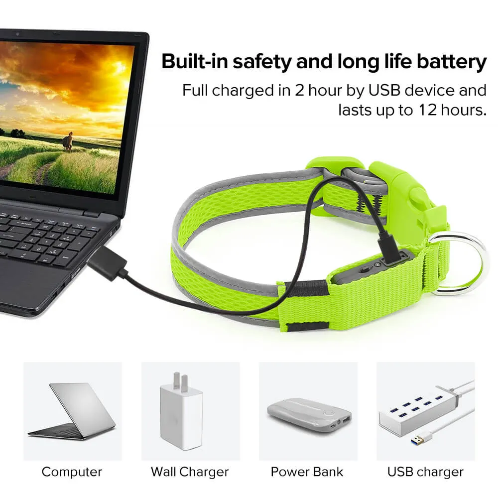 BSEEN USB Rechargeable Light Up Mesh LED Dog Collar