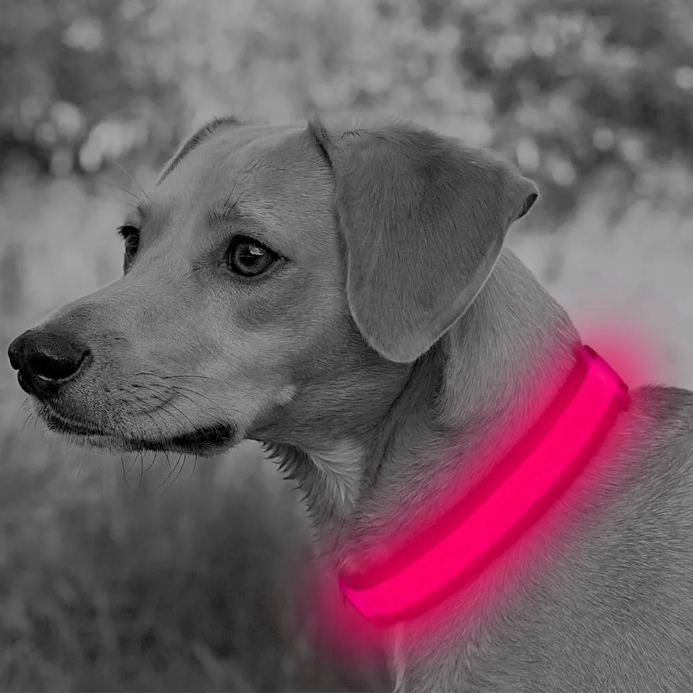 BSEEN USB Rechargeable Light Up Mesh LED Dog Collar