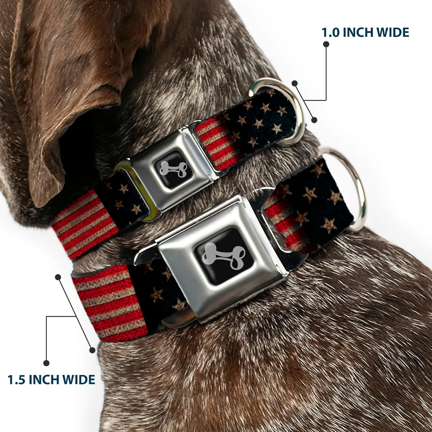 Buckle-Down  22.86  38.10 ,(DC-SB-DB-W32210-1.0-S)