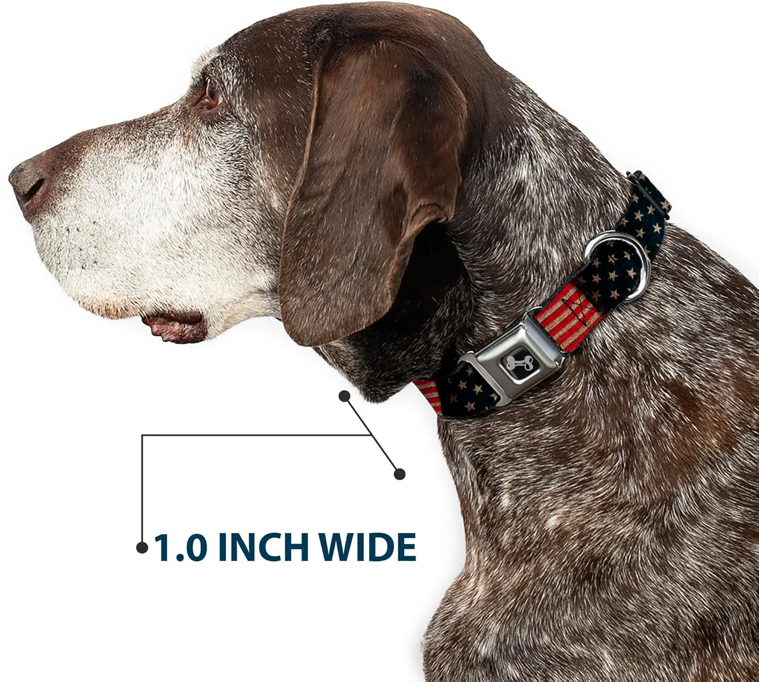 Buckle-Down  22.86  38.10 ,(DC-SB-DB-W32210-1.0-S)
