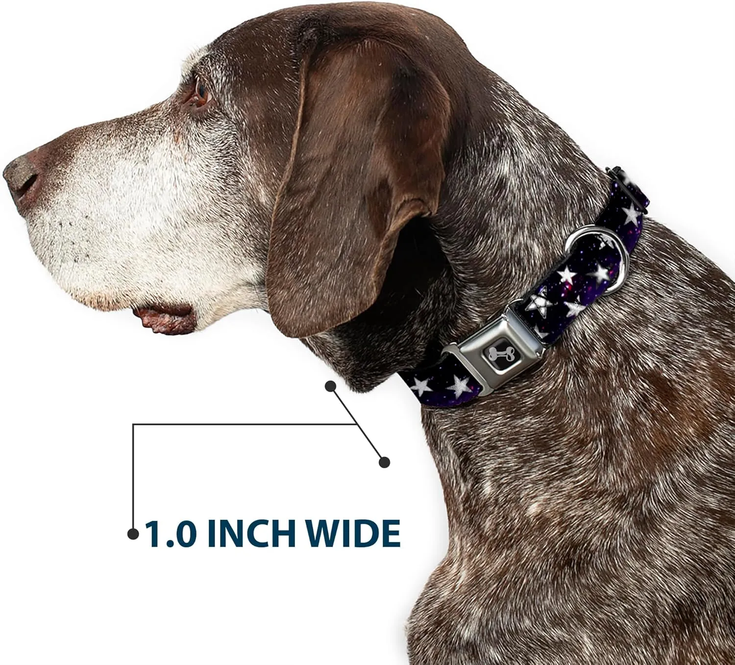 Buckle-Down      27.94 cm  43.18 cm  2.54 cm   (DC-W30760-M)
