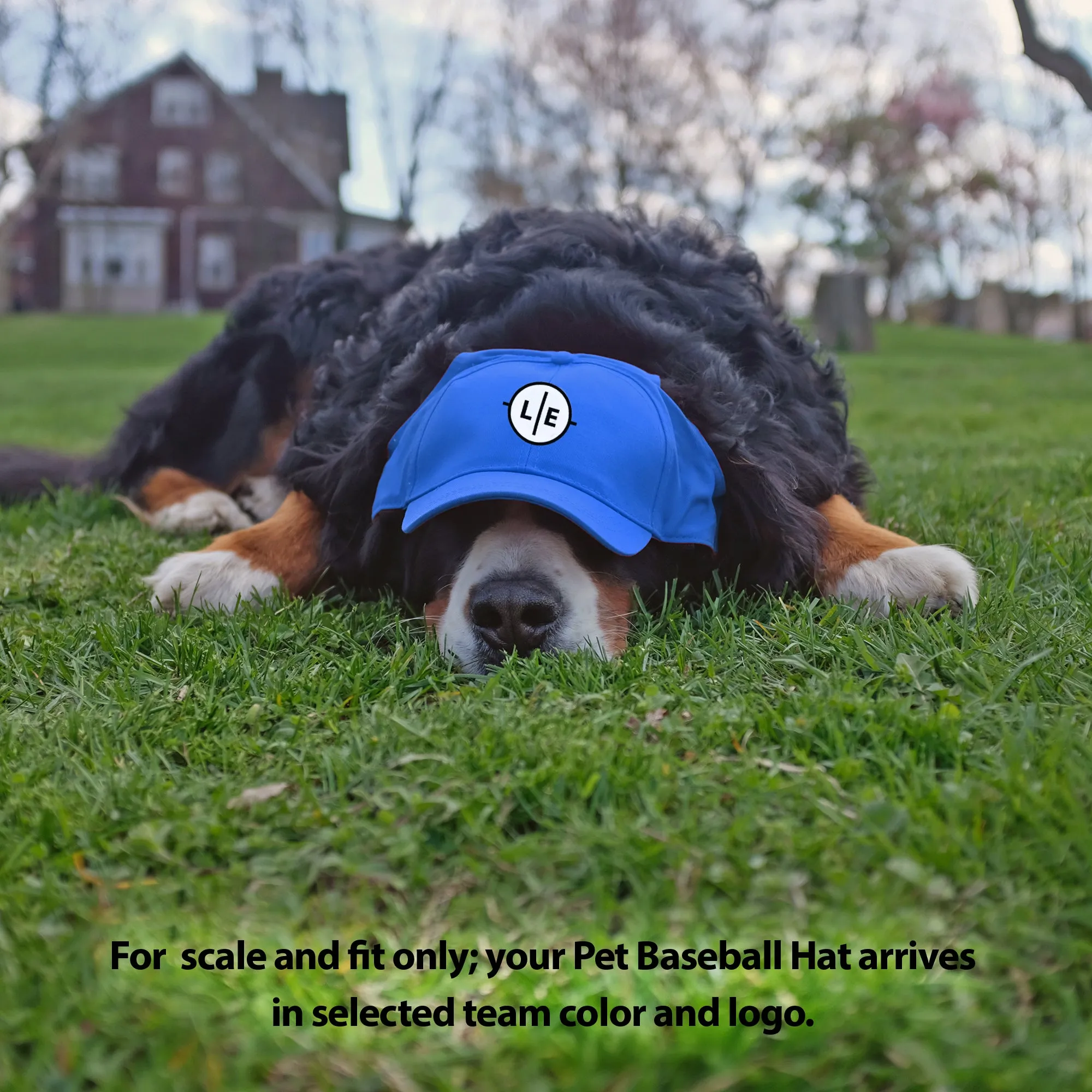 Buffalo Sabres Pet Baseball Hat