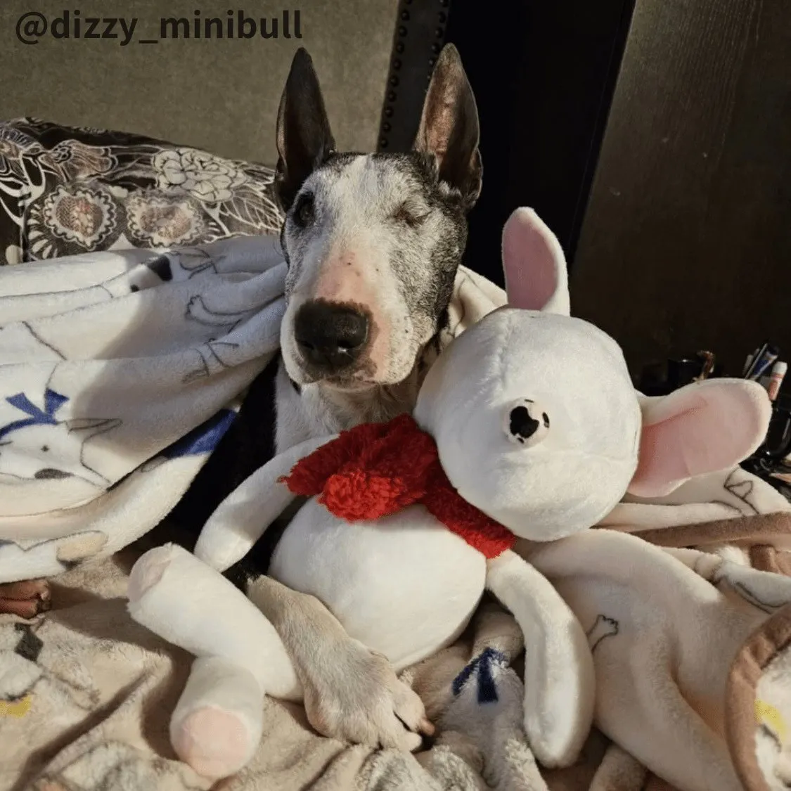 Bull Terrier Plush Toy
