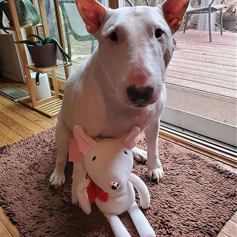 Bull Terrier Plush Toy