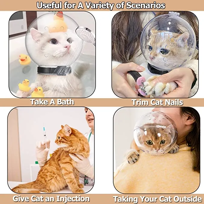 Cat Muzzle Cat Transparent Muzzle