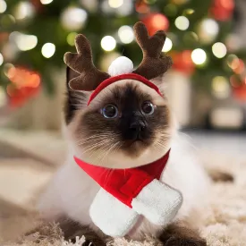 Cat Reindeer Hat with Scarf