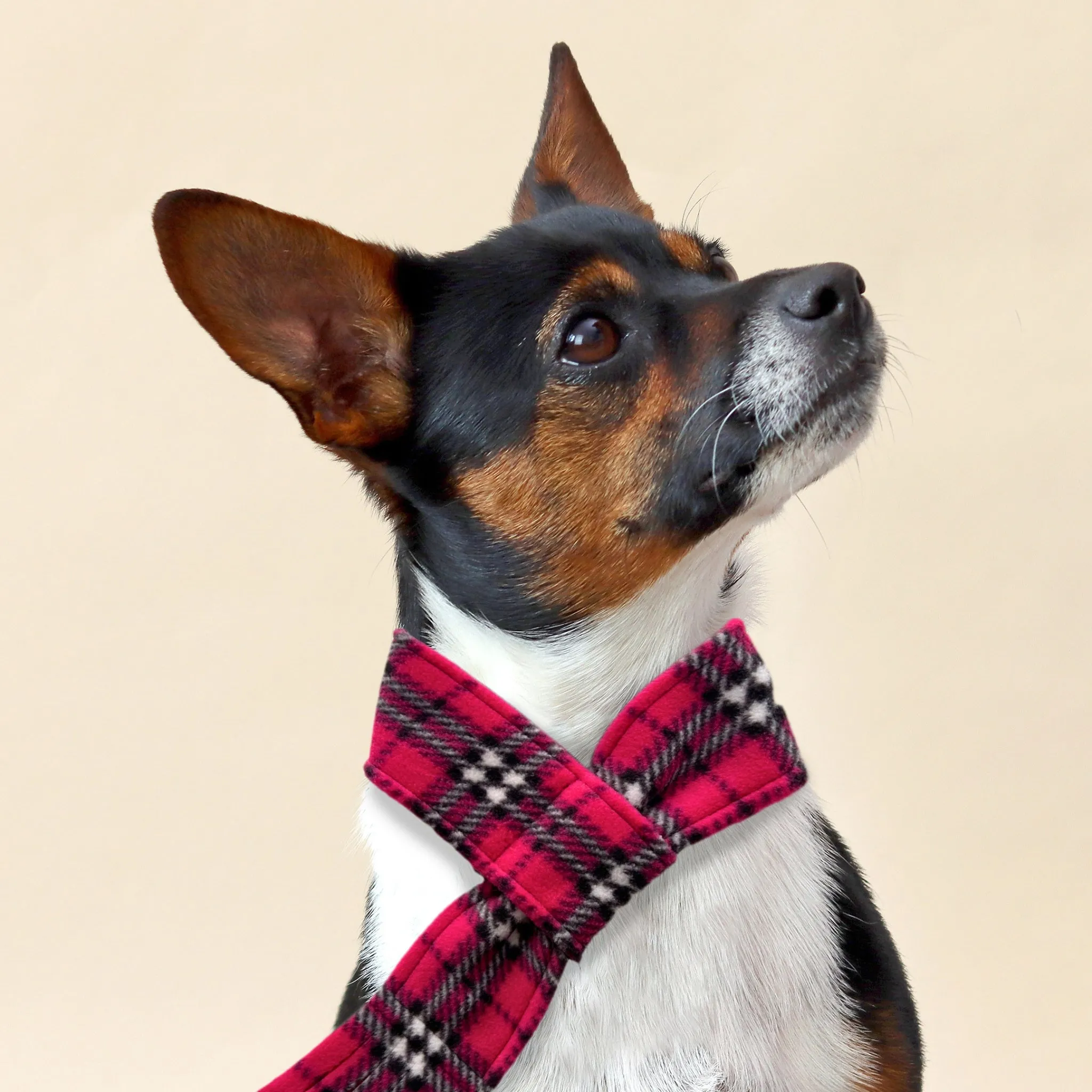Cerise Pink Highland Tartan Fleece Pet Scarf