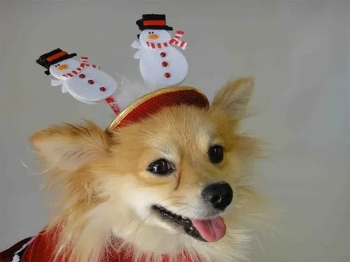 Christmas Snowman Hat - Cat or Dog