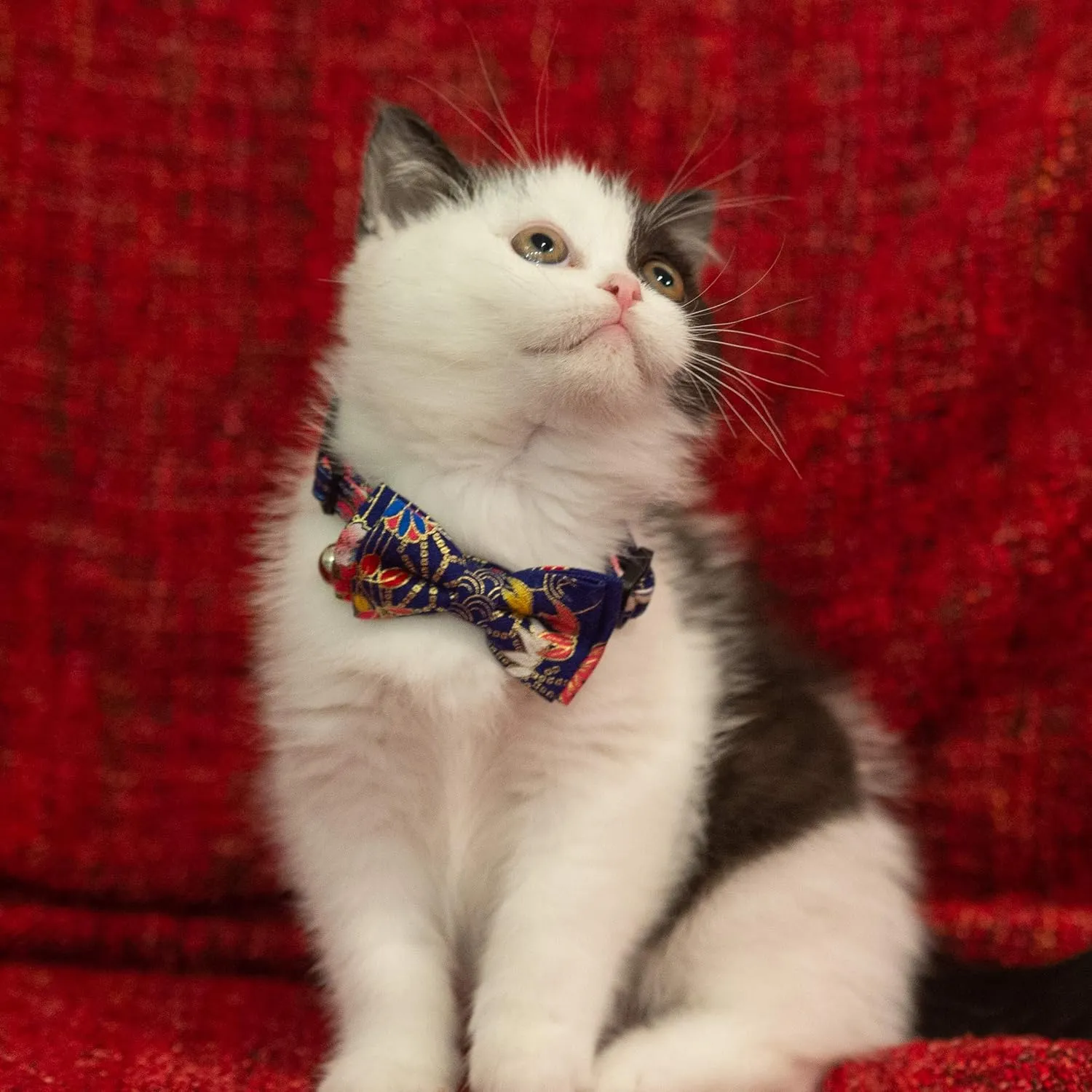 Collar for Cat Pet Breakaway with Bell Bowtie Detachable Bow Adjustable Safety Kitten Puppy Girl Boy 2pcs Navy Blue & Red