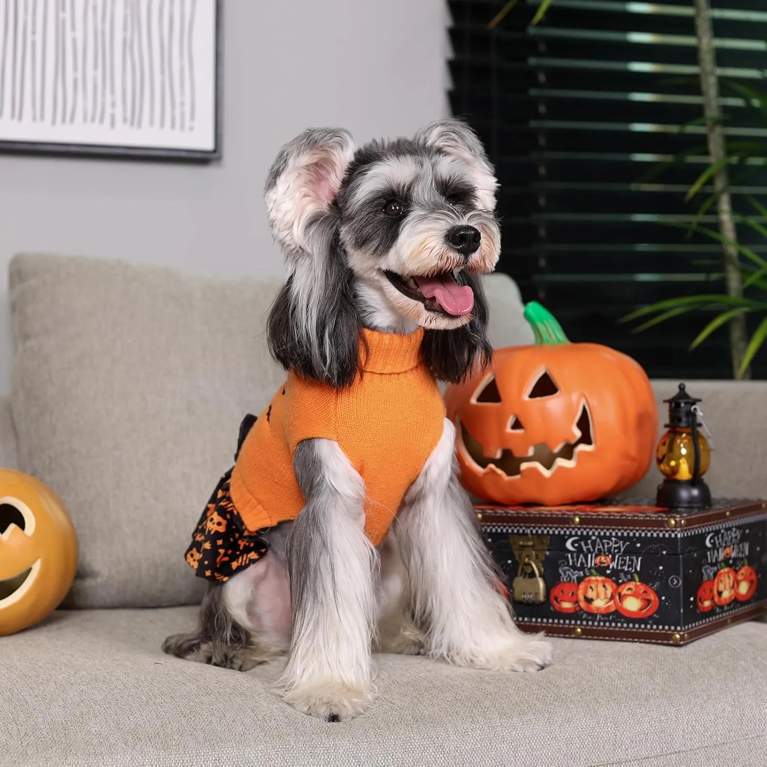 CuteBone Halloween Dog Sweater Dress Trick or Treat Knit Turtleneck Puppy Sweater with Bowtie Harness Hole Pullover Winter Dress for Small Medium Dogs and Cat Pet Apparel