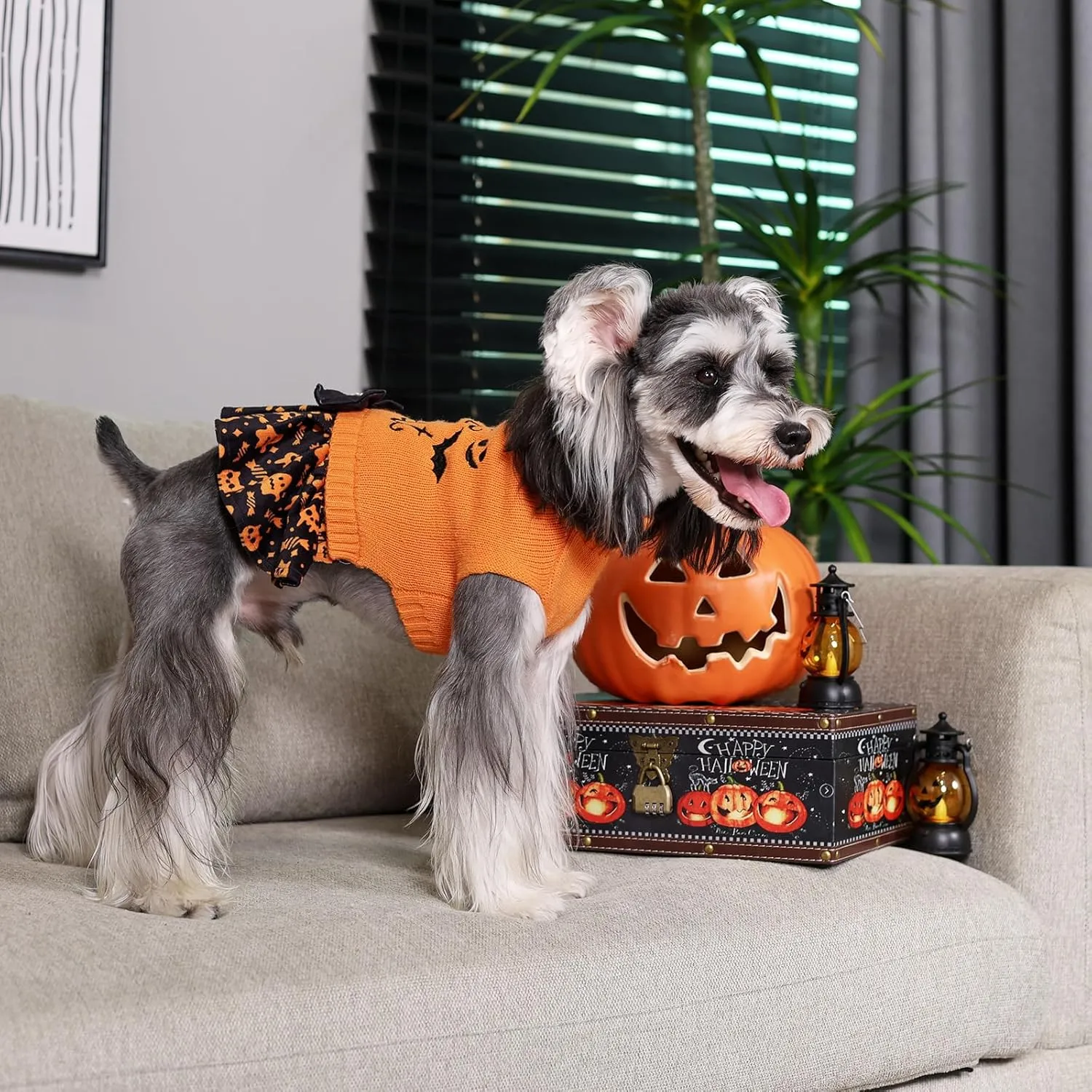 CuteBone Halloween Dog Sweater Dress Trick or Treat Knit Turtleneck Puppy Sweater with Bowtie Harness Hole Pullover Winter Dress for Small Medium Dogs and Cat Pet Apparel