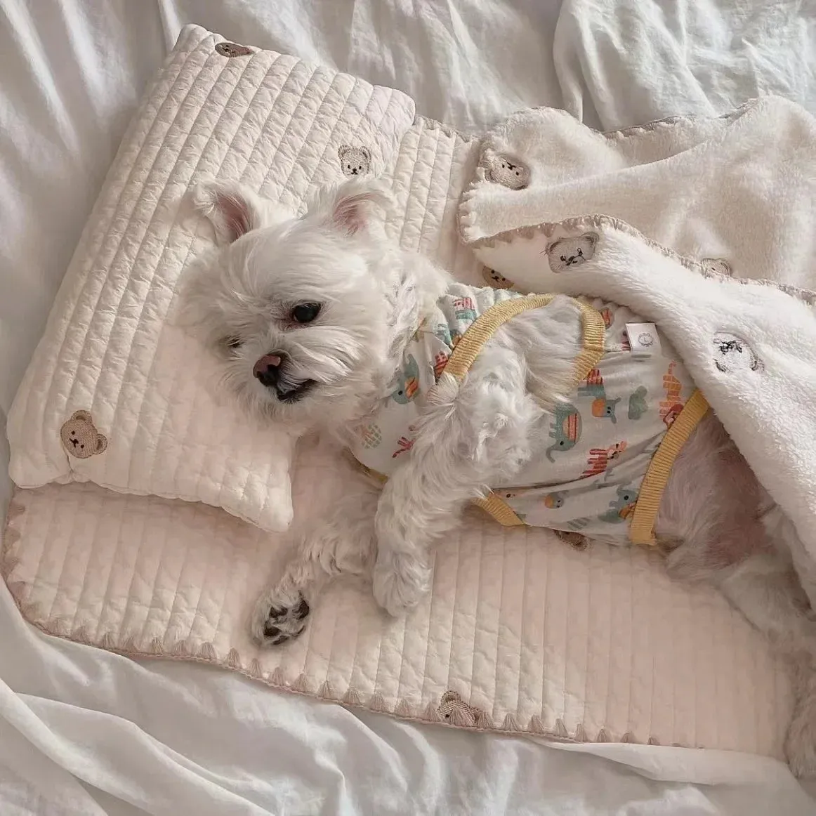 Dog Bed Set with Pillow, Mattress Comforter - Removable Washable Cat Nest, Soft Comfortable Pet Supplies, 3 Pcs Dog Accessories