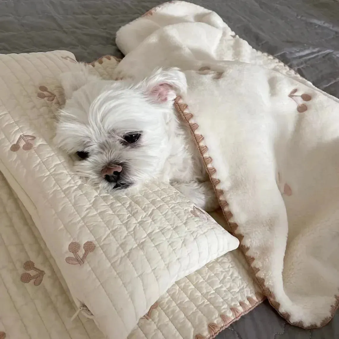 Dog Bed Set with Pillow, Mattress Comforter - Removable Washable Cat Nest, Soft Comfortable Pet Supplies, 3 Pcs Dog Accessories