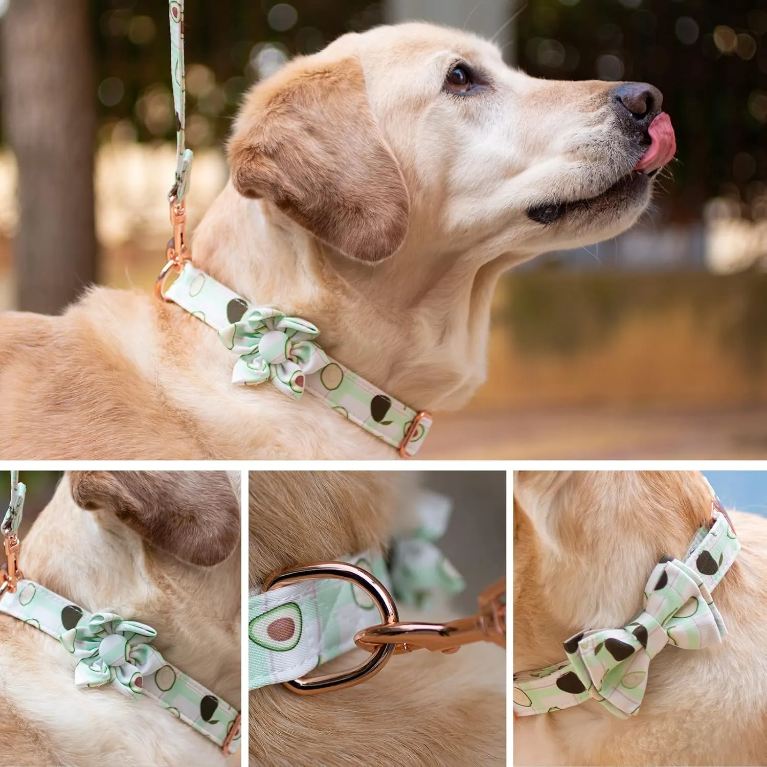 Dog Collar and Leash Set with Flower Bow Tie Girls Dog Collar Dog Tag Metal Buckle Adjustable for Small Medium Large Dogs Avocado-XS