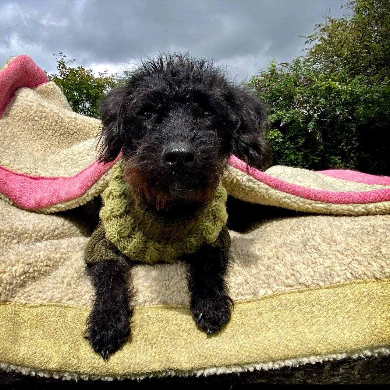 Fern Green Harris Tweed Luxury Designer Dog Blanket