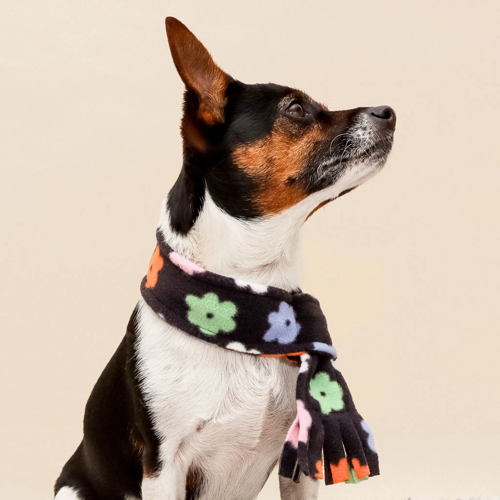 Flower Power Fleece Pet Scarf