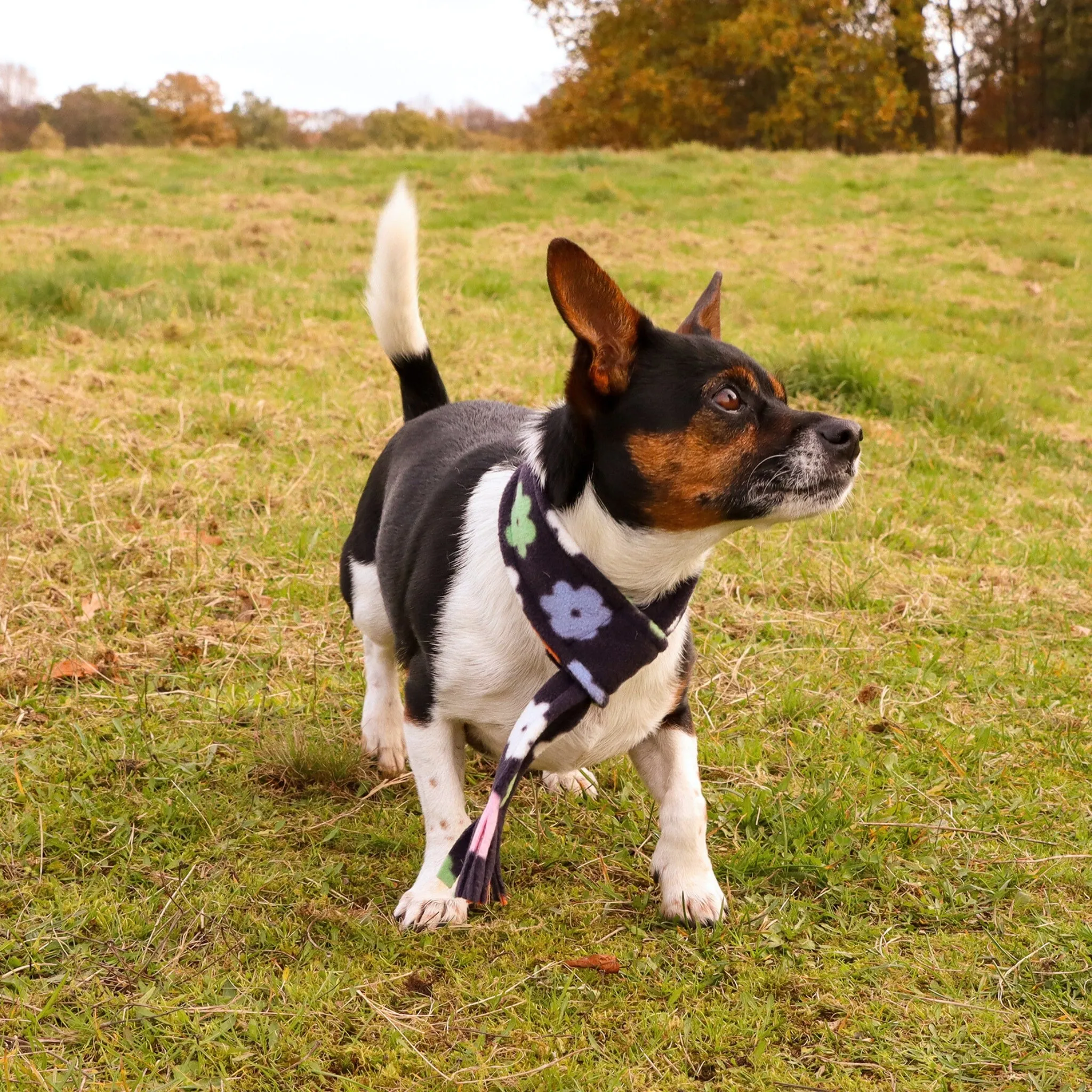 Flower Power Fleece Pet Scarf