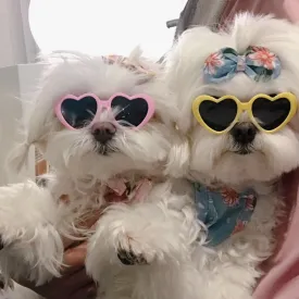 Funki Buys | Pet Sunglasses | Cute Heart Shaped Pet Sunnies