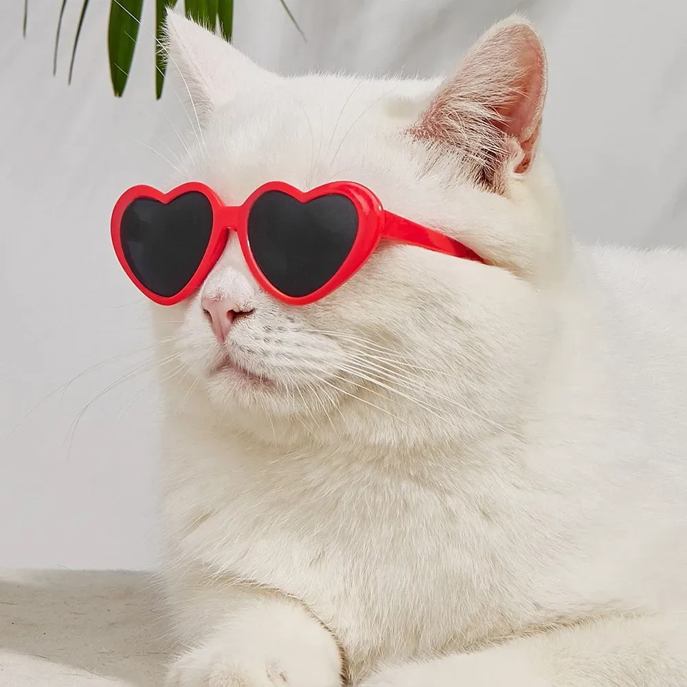 Funki Buys | Pet Sunglasses | Cute Heart Shaped Pet Sunnies