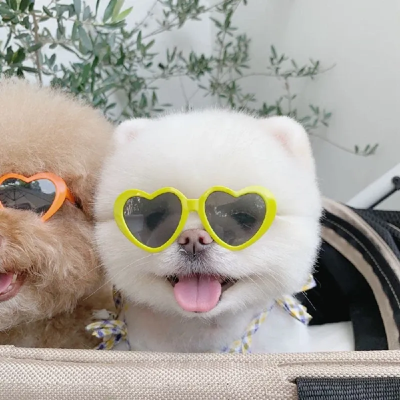 Funki Buys | Pet Sunglasses | Cute Heart Shaped Pet Sunnies