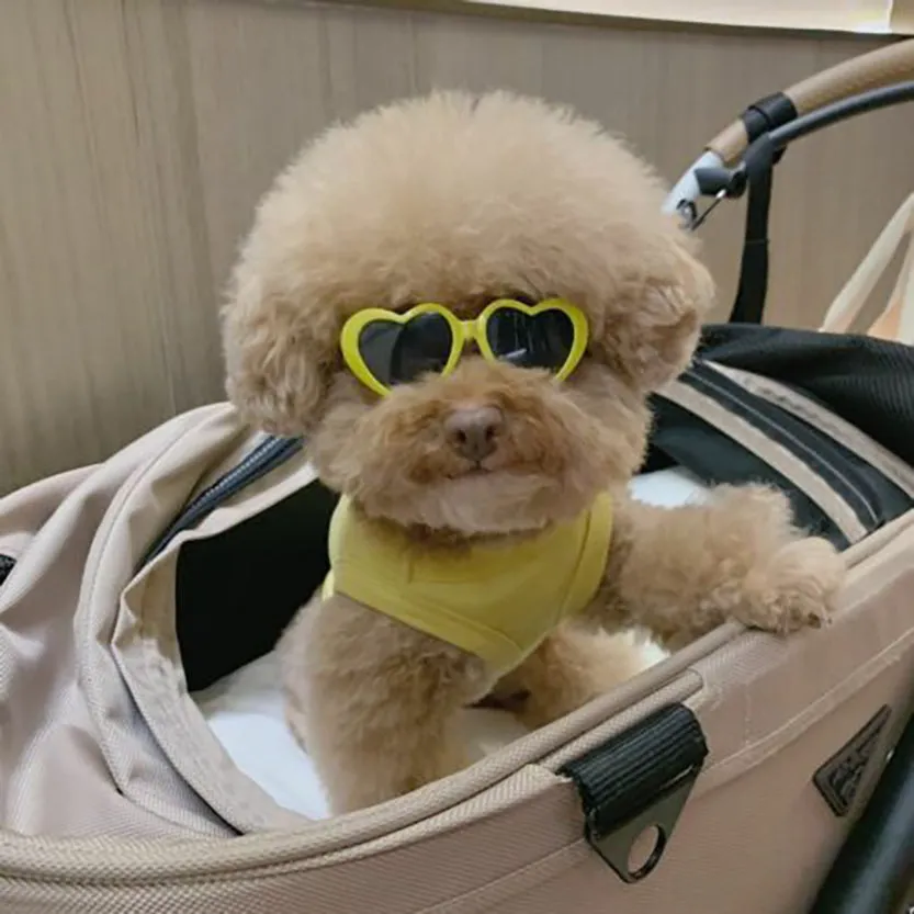 Funki Buys | Pet Sunglasses | Cute Heart Shaped Pet Sunnies