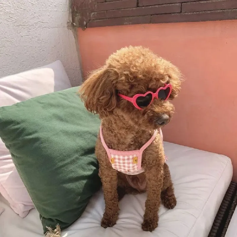 Funki Buys | Pet Sunglasses | Cute Heart Shaped Pet Sunnies