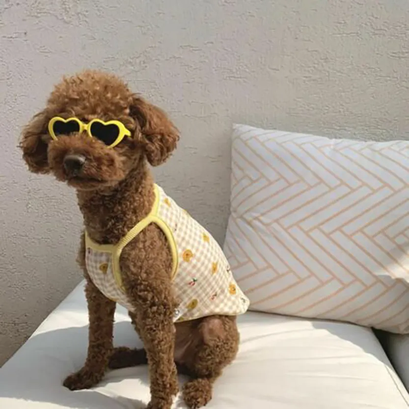 Funki Buys | Pet Sunglasses | Cute Heart Shaped Pet Sunnies