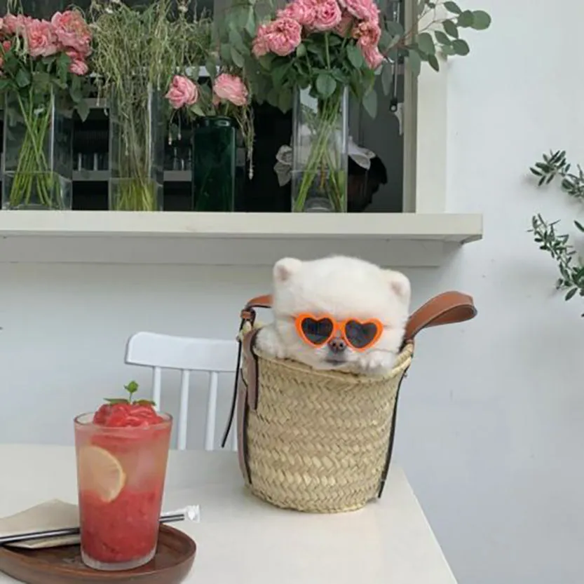 Funki Buys | Pet Sunglasses | Cute Heart Shaped Pet Sunnies