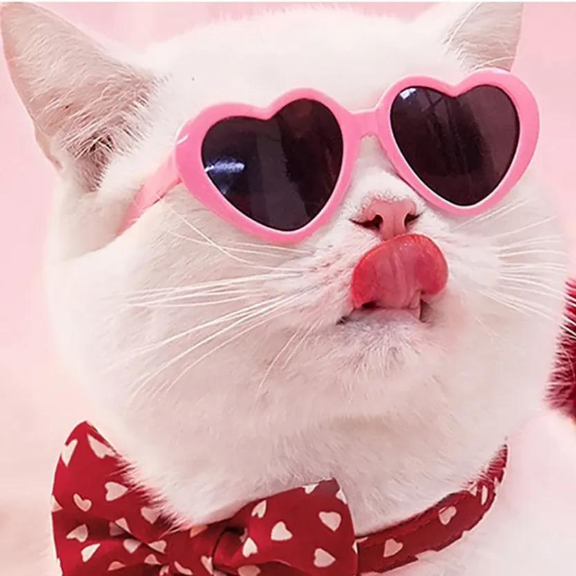 Funki Buys | Pet Sunglasses | Cute Heart Shaped Pet Sunnies
