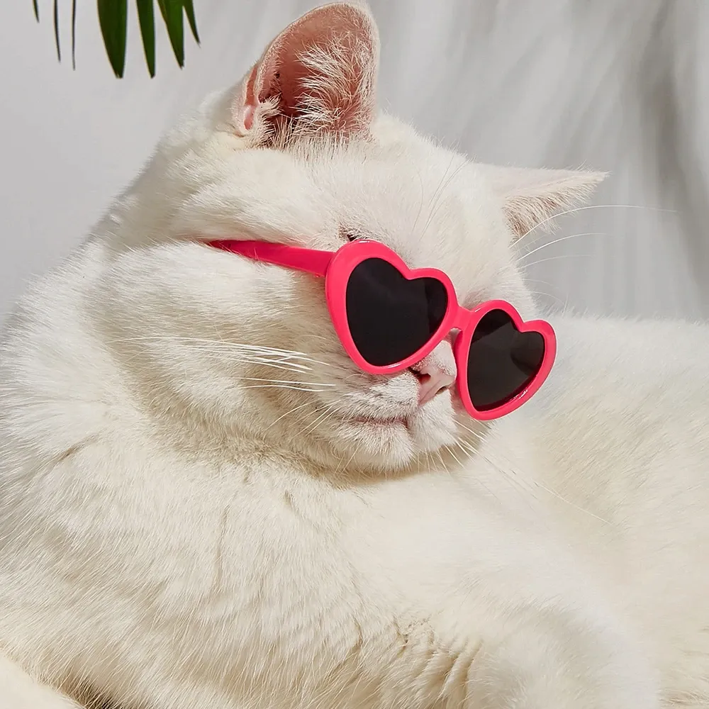 Funki Buys | Pet Sunglasses | Cute Heart Shaped Pet Sunnies