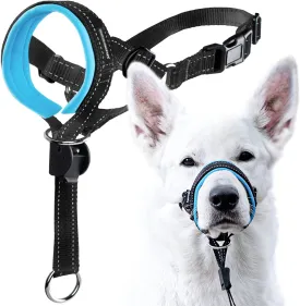 GoodBoy Dog Head Halter with Safety Strap - Stops Heavy Pulling On The Leash - Padded Headcollar for Small Medium and Large Dog Sizes - Head Collar Training Guide Included (Size 2, Blue)